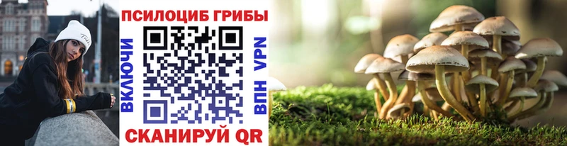 гидра tor Болхов Псилоцибиновые грибы Psilocybine cubensis